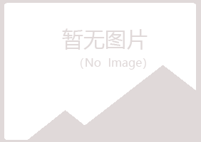 从化山柏会计有限公司